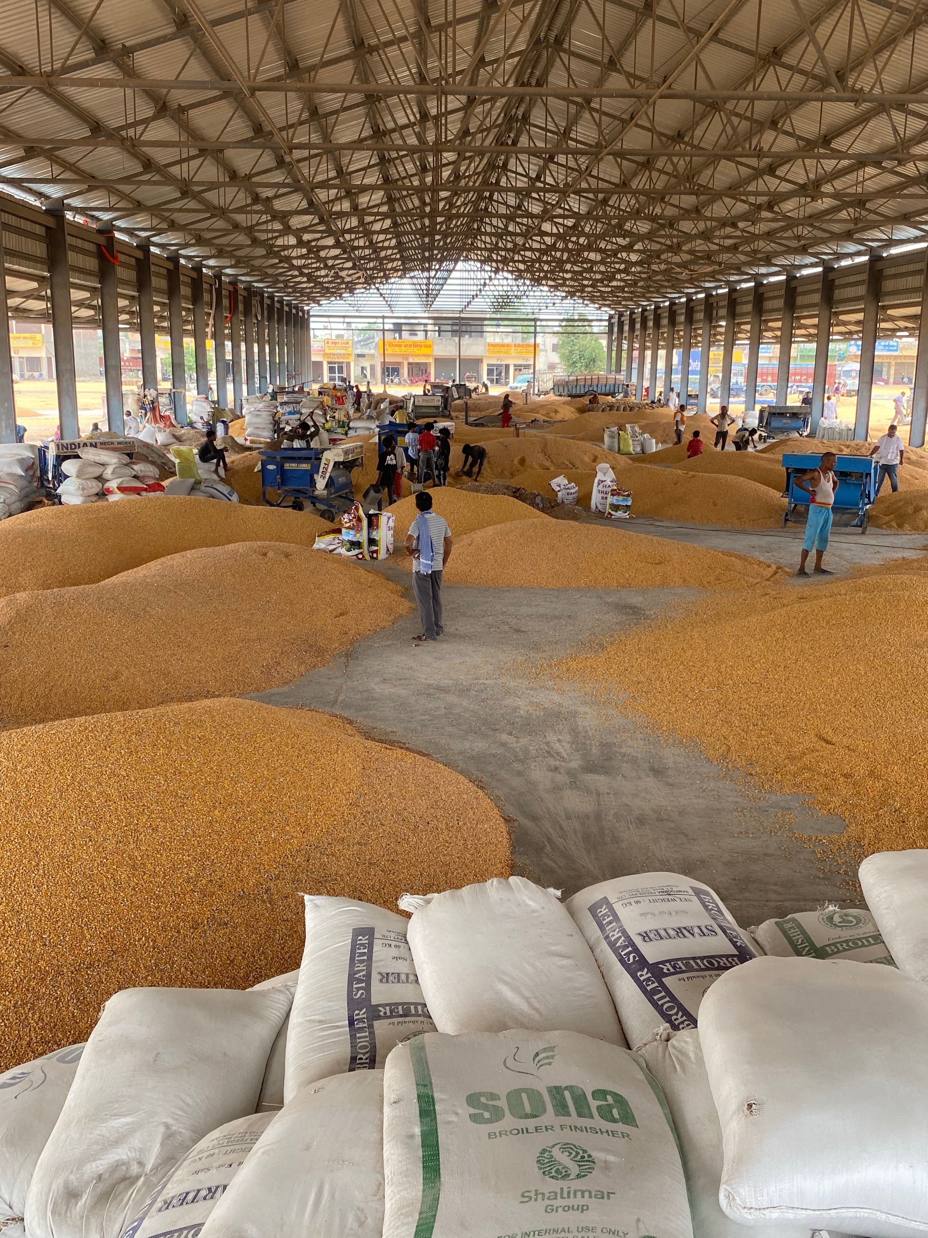 Logistics and commodities